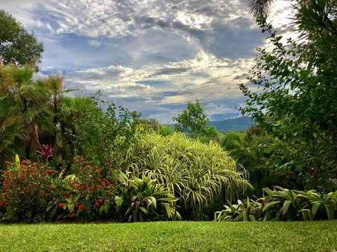 Daintree Manor B&B - Accommodation Cairns 2