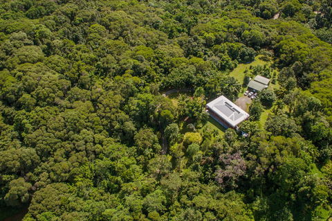 Daintree Manor B&B - Accommodation Cairns 14