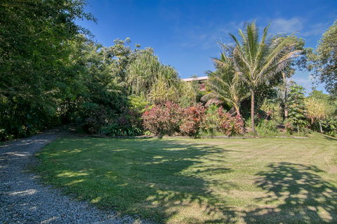 Daintree Manor B&B - Accommodation Cairns 19
