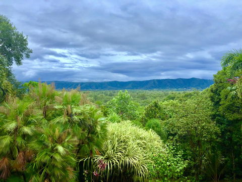 Daintree Manor B&B - Accommodation Cairns 0