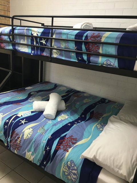 17 North Street Budget Accommodation - Accommodation Cairns 3