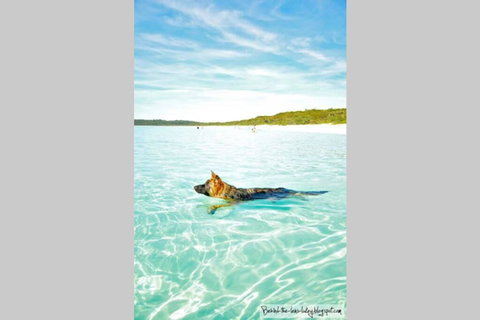 24 Hyam Road Hyams Beach - Accommodation Cairns 1