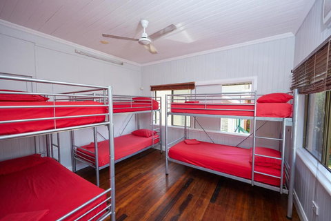 Cairns City Backpackers Hostel - Accommodation Cairns 2