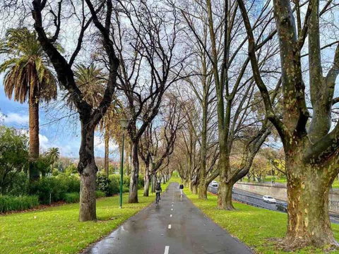 D124 Big Stay At Biggs - Accommodation Cairns 2