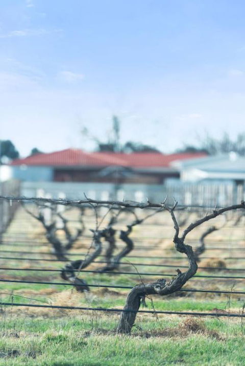 Crimson Ridge - Wines, Vines And Dine - Accommodation Cairns 1