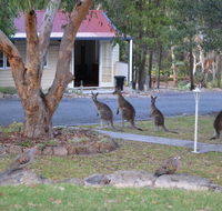 31 The Rocks - Accommodation Cairns