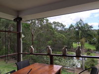 Book Gold Coast Accommodation Vacations Accommodation Cairns Accommodation Cairns