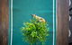 62, Green Wood, Lv21@1bd1bth, Close To Mel CBD,  - thumb 3
