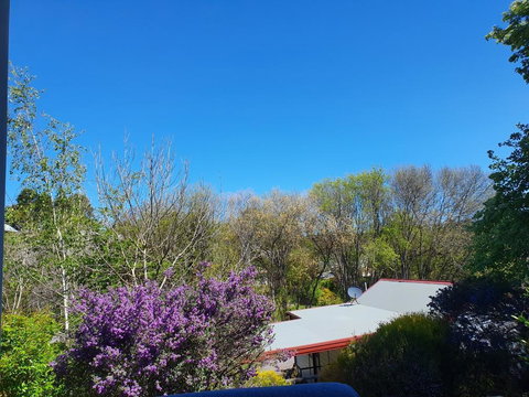 Abelia Cottages SPA LAKESIDE COTTAGE NO 1 - Accommodation Cairns 2