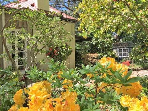 Adelaide Hills 'Camellia Cottage' - WiFi - Accommodation Cairns 1
