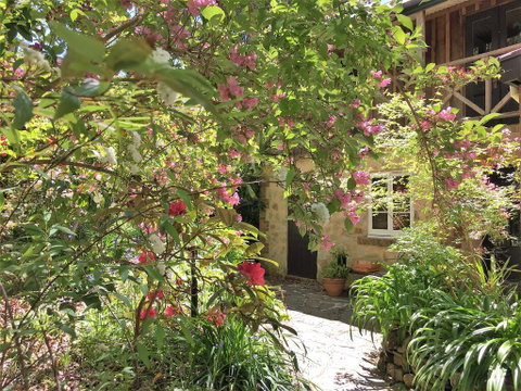 Adelaide Hills 'Camellia Cottage' - WiFi - Accommodation Cairns 2