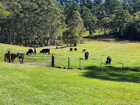 Fiery, Cozy Starry Nights - Farm Stay! - Accommodation Cairns 2