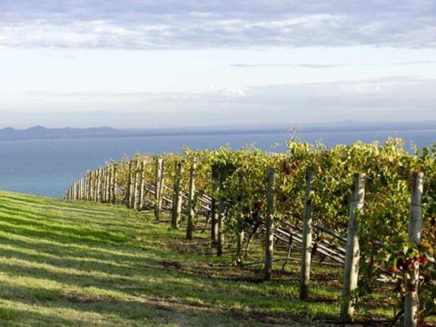 Geelong Serviced Apartments By Short & Long Stays - Accommodation Cairns 1