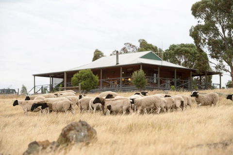 Gilgraves Vineyard Farmstay - Accommodation Cairns 0