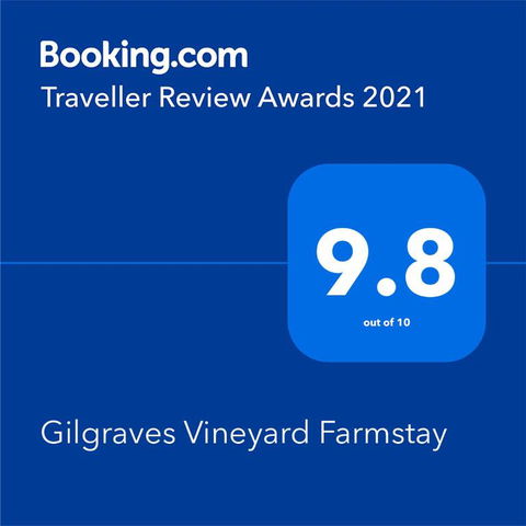 Gilgraves Vineyard Farmstay - Accommodation Cairns 2