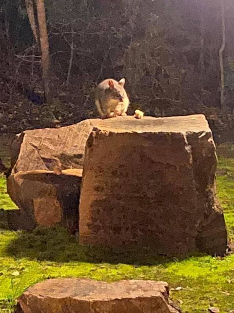 Harmony Forest Cottages & Lake Side Lodge - Accommodation Cairns 2