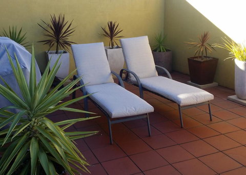 High On Penguin - Accommodation Cairns 1