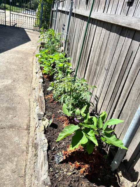 Idyllic House In Duffy - Accommodation Cairns 1