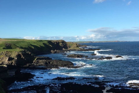 Adrift At Ventnor On Phillip Island, Pets - Accommodation Cairns 1