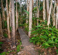 Agnes Palms Accommodation - Accommodation Cairns