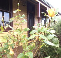 Albion Cottage - Accommodation Cairns