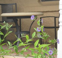 Amalie Cottage Waikerie - Accommodation Cairns