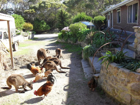 Anchorage Apartments - Accommodation Cairns 0