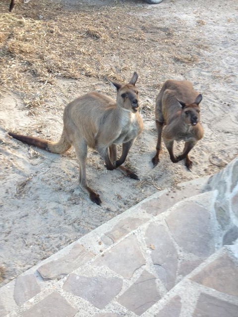 Anchorage Apartments - Accommodation Cairns 1