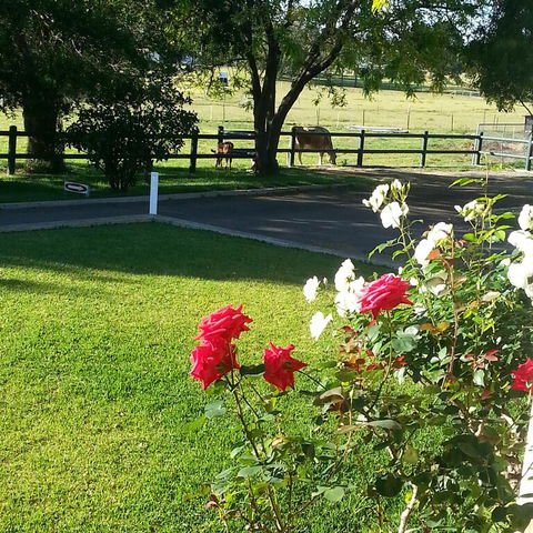 Appin Homestay B & B - Accommodation Cairns 3