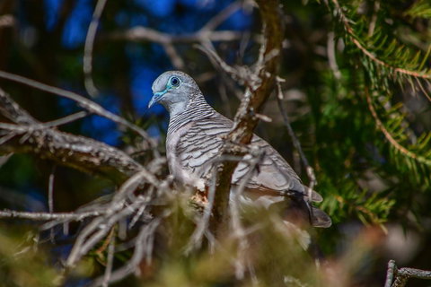 Ash's Holiday Units - Accommodation Cairns 2
