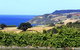 Mallavale Farm, Boat Harbour - thumb 0