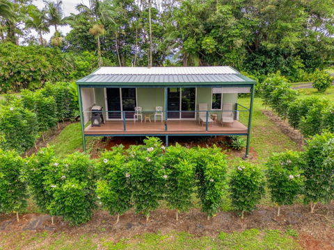 Mena Creek Flower House - Accommodation Cairns 2