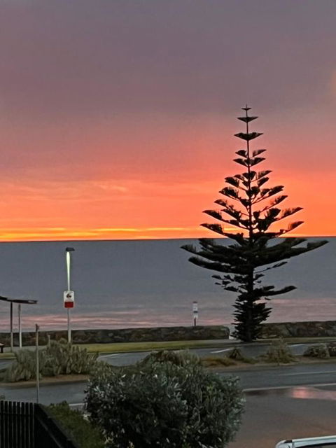 Moana Seaside Retreat - 2 Bedroom, Spa , Living Area & Pet Friendly - Accommodation Cairns 1