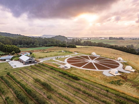 Mount Gnomon Farm - Accommodation Cairns 2