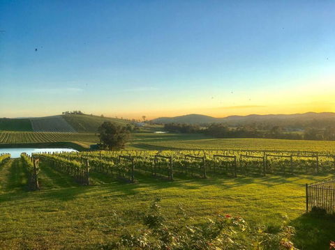 Mount Hope Estate Vineyard - Accommodation Cairns 0