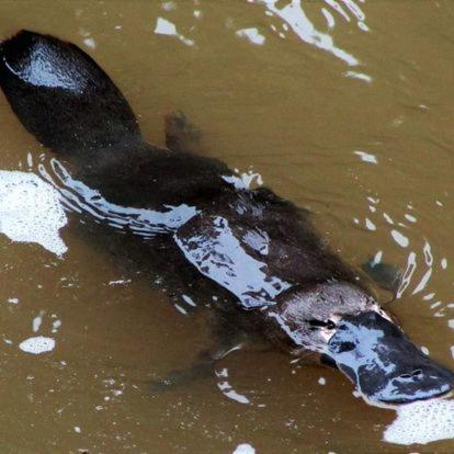 Mountain Edge Escape - Accommodation Cairns 3