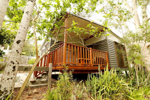 Mt Warning Rainforest Park - Accommodation Cairns 1