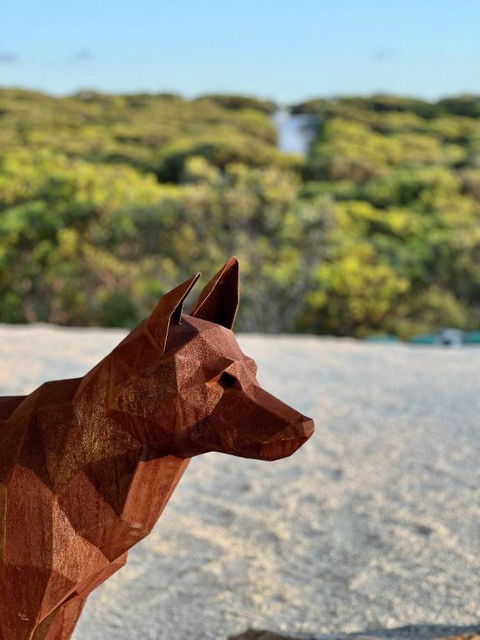 Native Dog Cabin - Accommodation Cairns 2