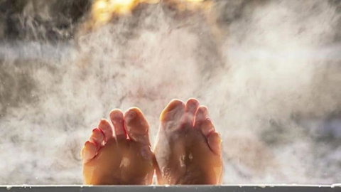 Nungaroo Cottage - Accommodation Cairns 3