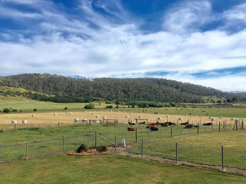 Old Entally Farm - Accommodation Cairns 1