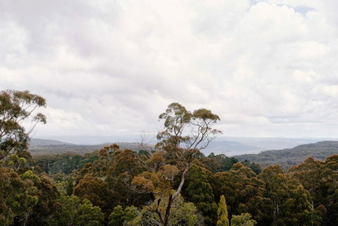 Osborn House - Accommodation Cairns 1