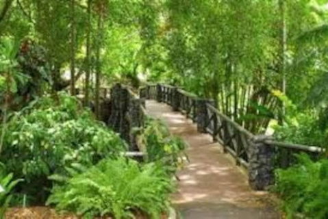 Paddington Pad With Back Deck And Free Car Space Close To Suncorp - Accommodation Cairns 2