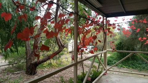 Padthaway Caravan Park - Accommodation Cairns 1