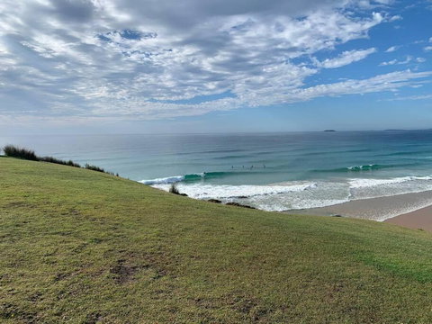 Pandanus - Accommodation Cairns 2