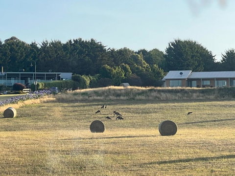 Paradise In San Remo- Philip Island - Accommodation Cairns 2