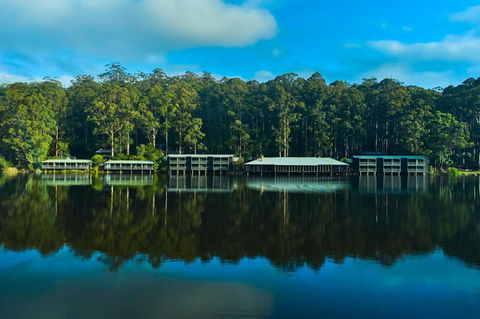 RAC Karri Valley Resort - Accommodation Cairns 2