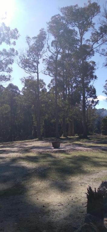Rail Trail Retreat - Accommodation Cairns 2