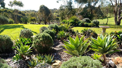 Austiny Bed And Breakfast Victor Harbor - Accommodation Cairns 2