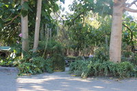 Book Macclesfield Accommodation Vacations Accommodation Cairns Accommodation Cairns