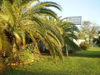 Book Winton Accommodation Vacations Accommodation Cairns Accommodation Cairns